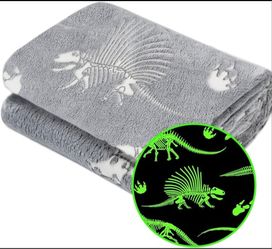 Jekeno Glow in the Dark Dinosaur Blanket (Brand New)
