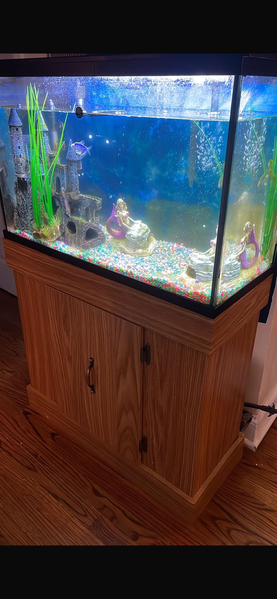 Fish tank 