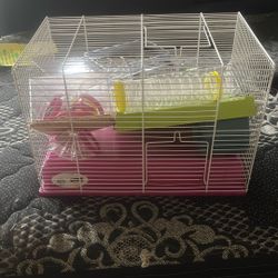 Hamsters Set Up Cage And Tunnels And House 