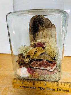 4” Square Jar - Beach Terrarium - 7.25”H