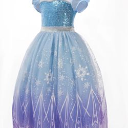 Disney Frozen Elsa Princess Dress Halloween Costume 