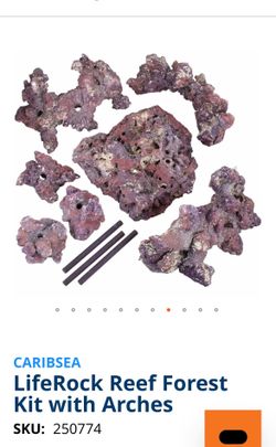LifeRock Reef Forest Aquarium Kit