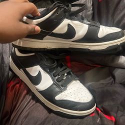 Jordan Sb Shoes