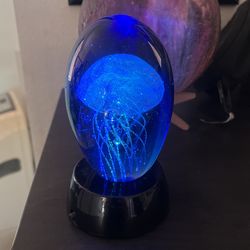 Glowing Glass Jelly Fish