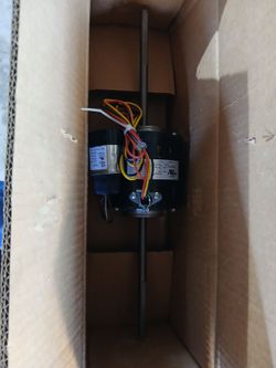 Blower motor squirrel cage