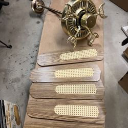 Ceiling fan