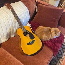 Yamaha Acoustic Guitar (cat not included)