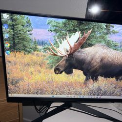 LG ULTRA GEAR GAMING MONITOR