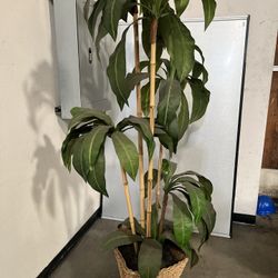 Fake Plant
