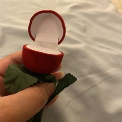 Red Rose 🌹 Flower Ring Case 