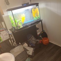 Fish Tank And Stand 