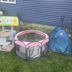 Assorted Pet Kitty Box 