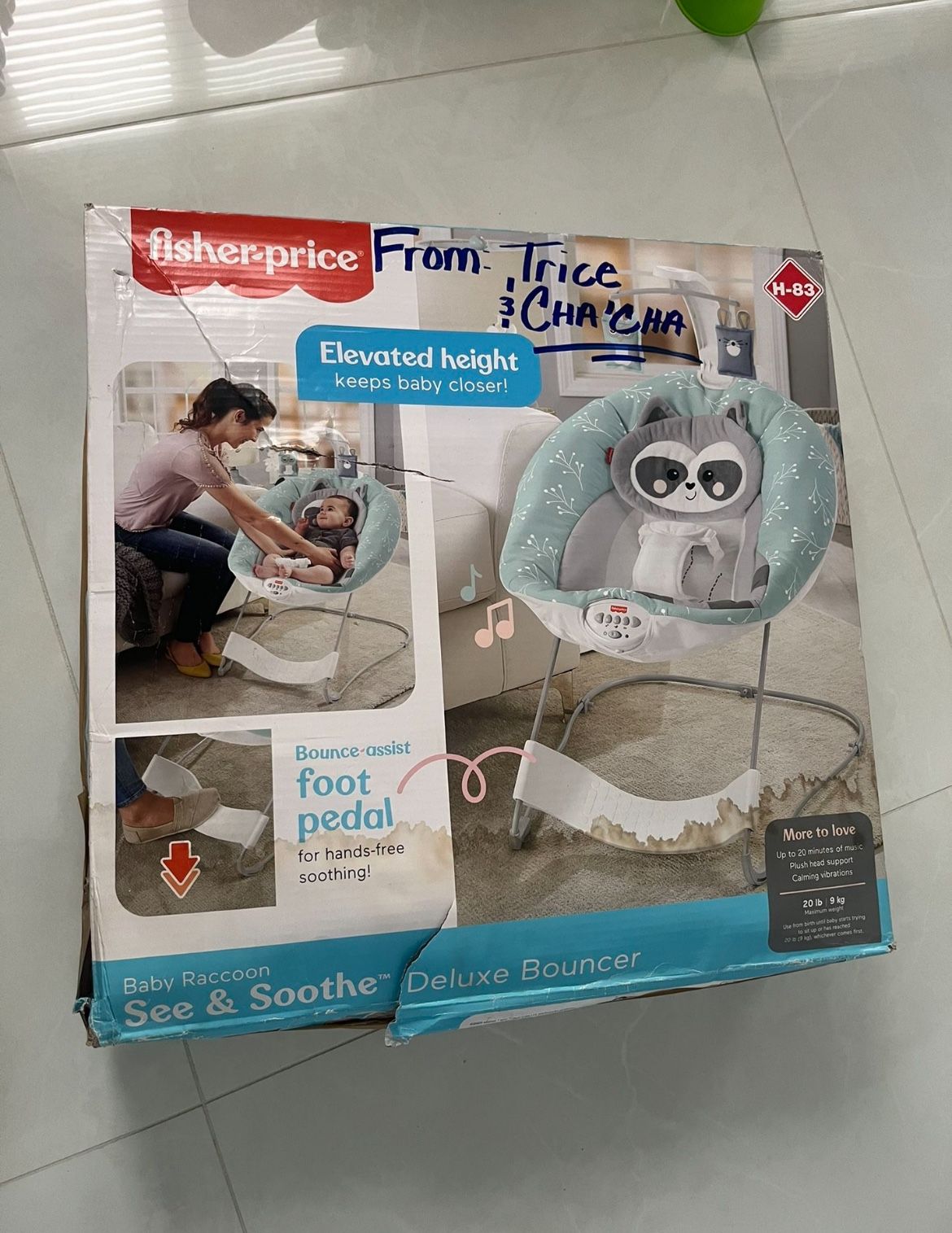 Fisher Price Baby Raccoon See & Soothe Deluxe Bouncer