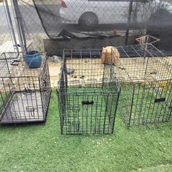 Small Dog Crates