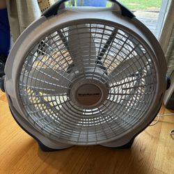 Fan