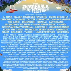 2x GA Shambahala Tix