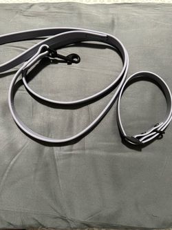 Gray Dog Collar and Leash Set medium size