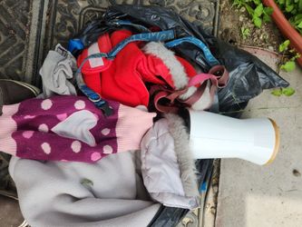 Free Dog Collats, harnesses, treat dispenser and sweaters.