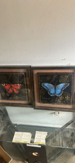 Butterfly Wall Art Framed Prints Set of 2