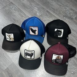 Used Hats Animals 