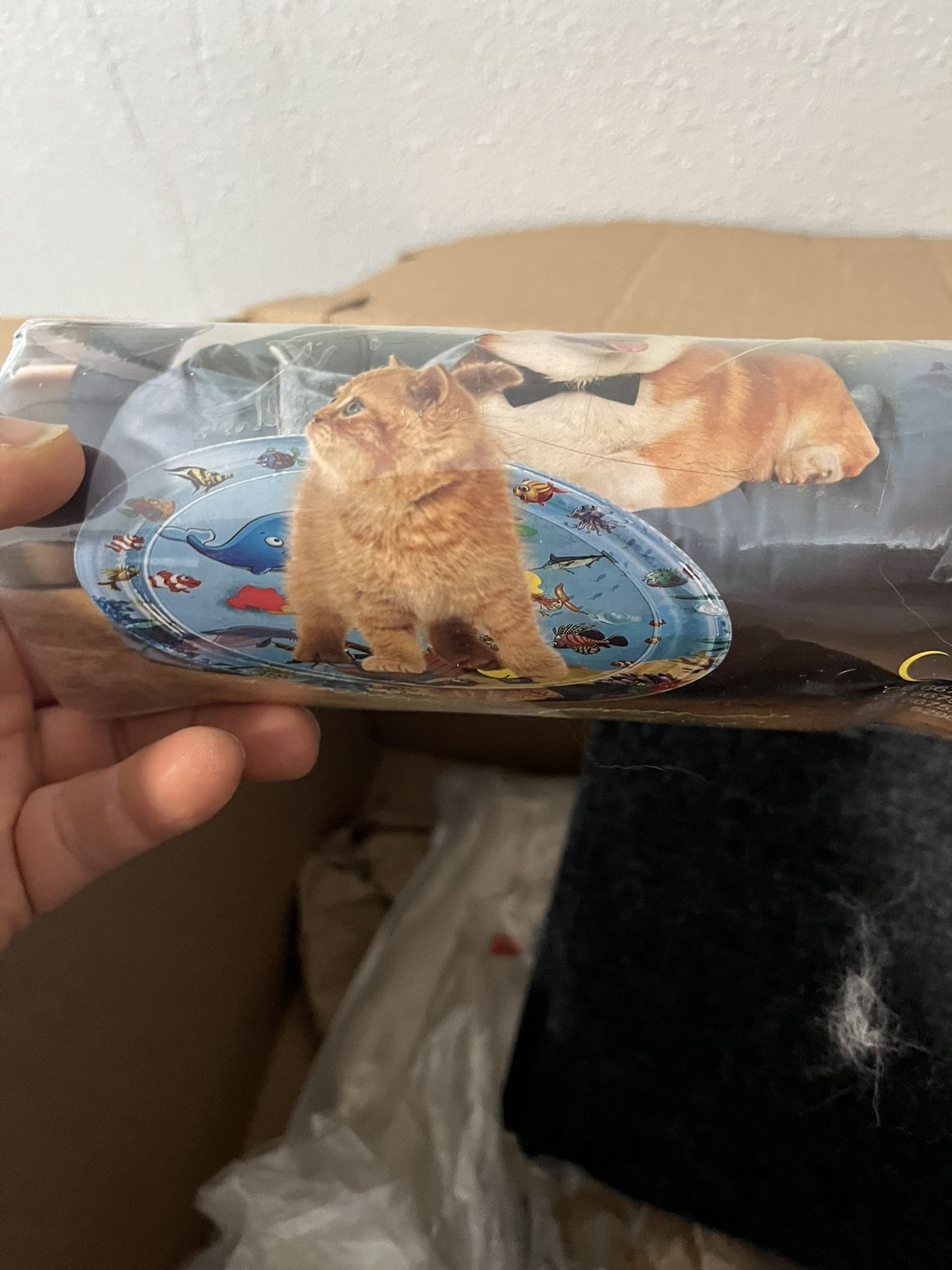 Cat Toys