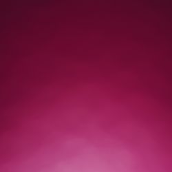 Private investigator