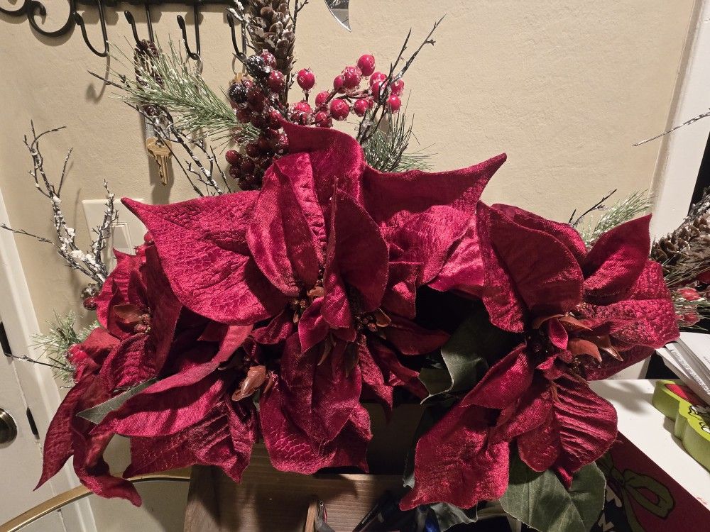 Christmas Flowers
