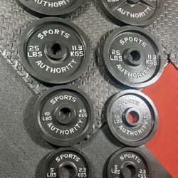 Vintage/Reconditioned Olympic  Weights Plates  SPORT AUTHORITY : 45s, 35s, 25s, 10s & 5s . Brute#240