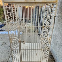 Bird Cage 