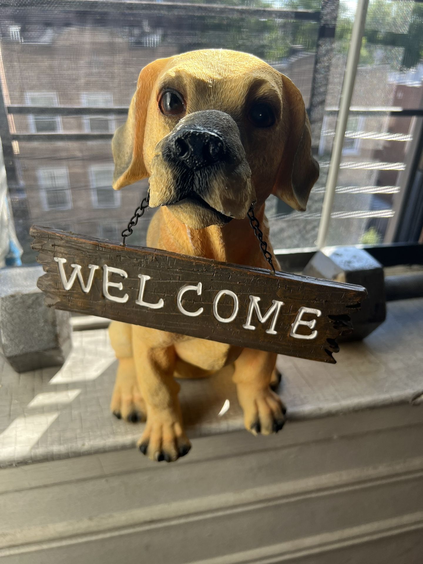 Welcome Labrador Doggie