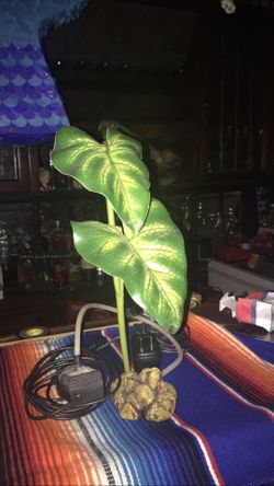 “Exo-terra” Reptile water dripper