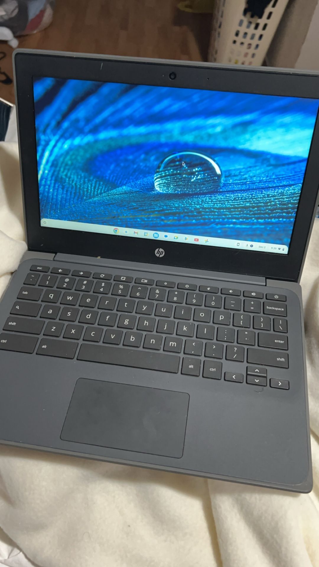 Hp Chromebook