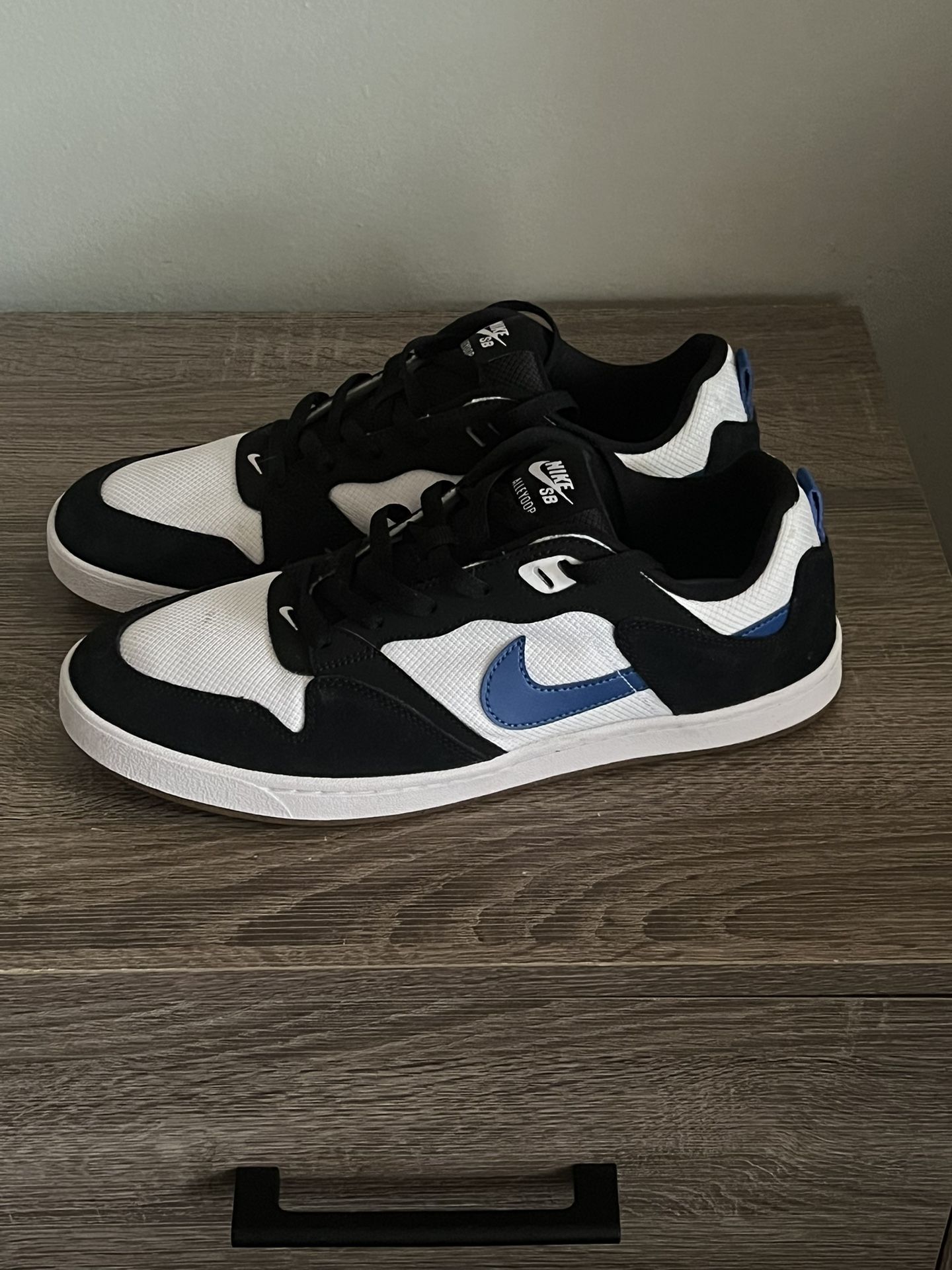 Nike SB Alleyoop