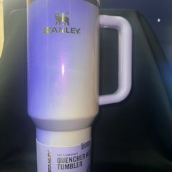 Wicked 40oz Stanley 