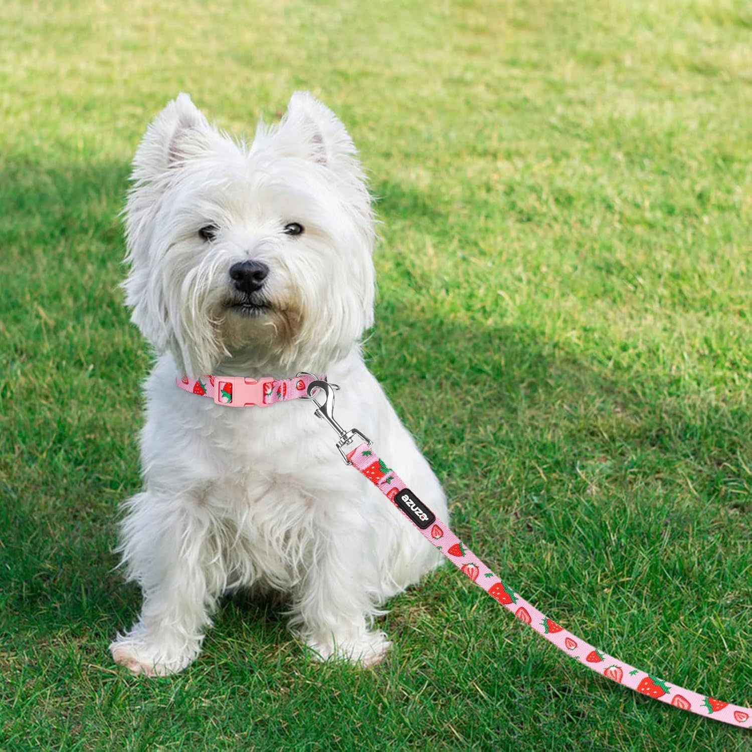 Azuza Dog Collar and Leash Set featuring a pink argyle pattern with red and blue owl designs.