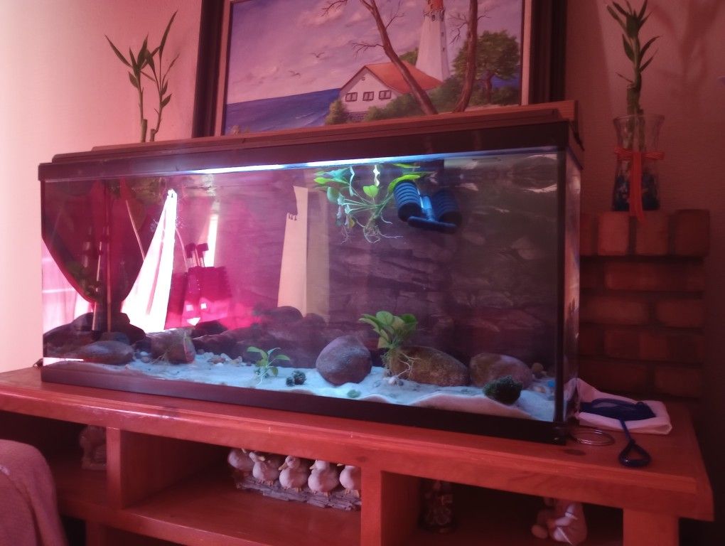 55 Gallon Aquarium