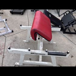 Gym Equipment 