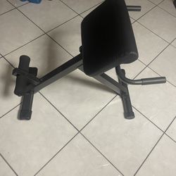 Back Extension Machine