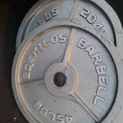 45lbs Weights