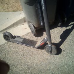 Ninbot Segway Scooter