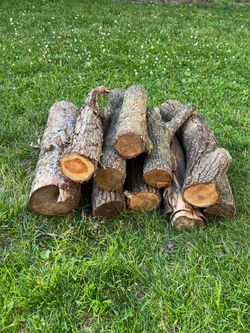 Firewood