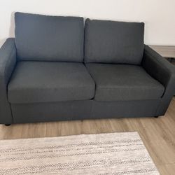 Queen Pull-Out Couch