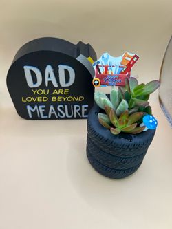 Succulent Arrangement