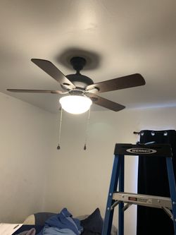 Ceiling Fan