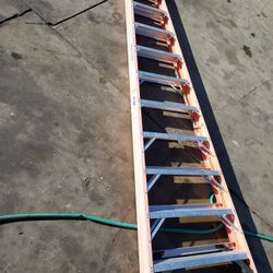 Werner 12 Ft Ladder