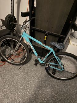 Throne 29er