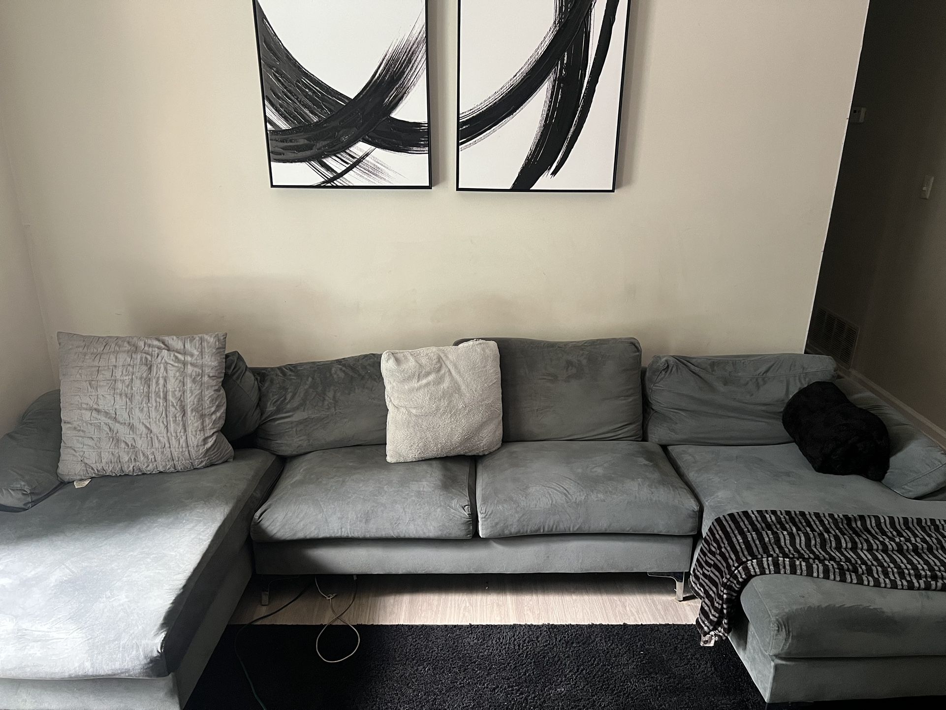 Grey Sectional Couch