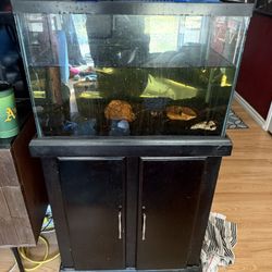 20 Gallon Tank 