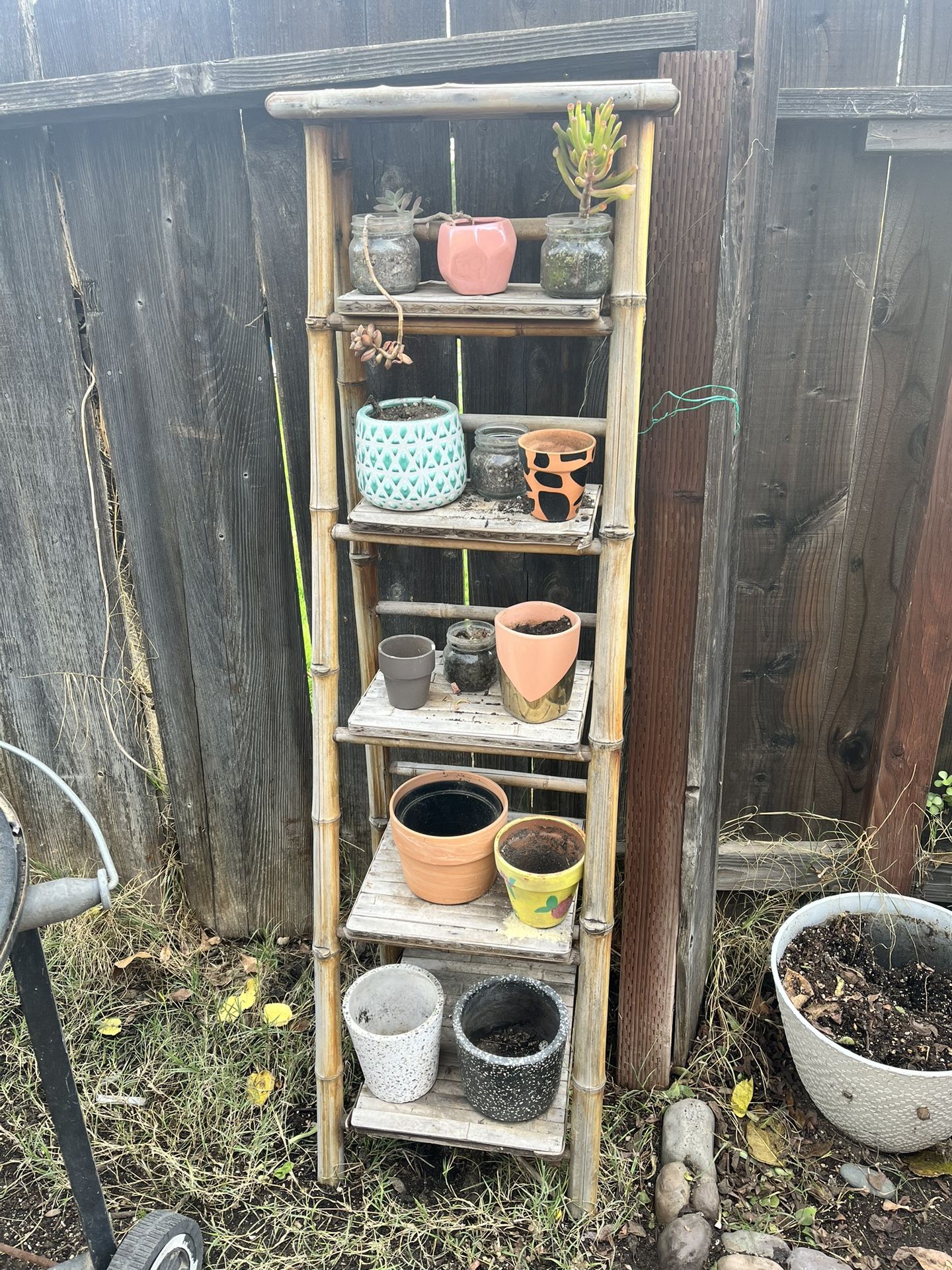 Pots and Plants