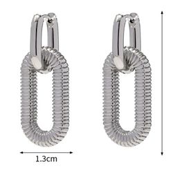 Stainless Steel Earrings 